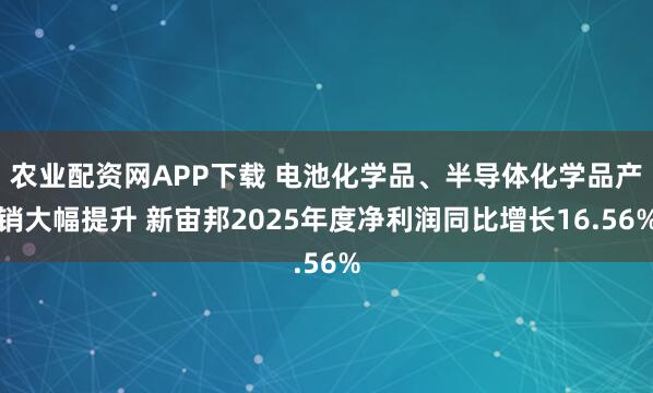 农业配资网APP下载 电池化学品、半导体化学品产销大幅提升 新宙邦2025年度净利润同比增长16.56%